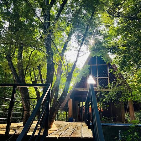 Habarana Tree House Mutu Village Eksteriør bilde