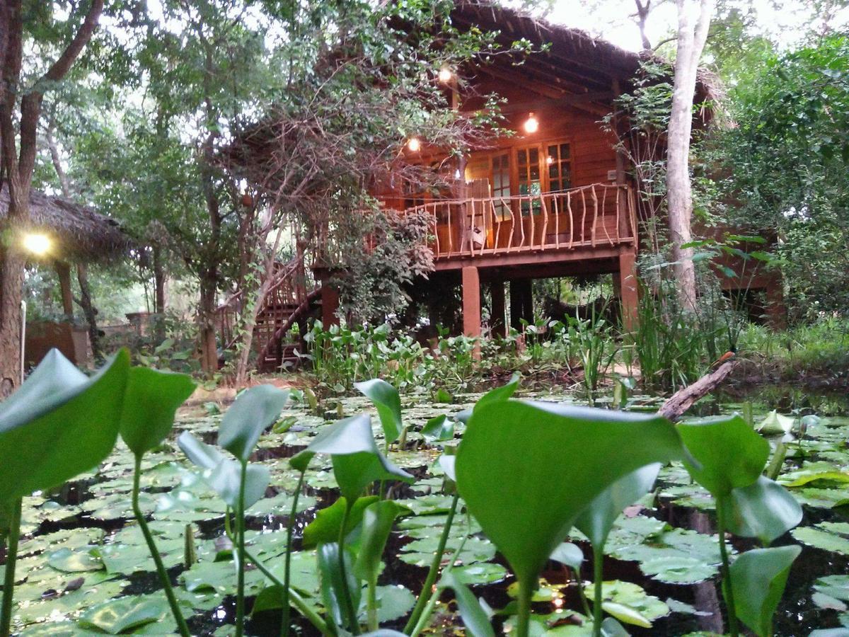Habarana Tree House Mutu Village Eksteriør bilde