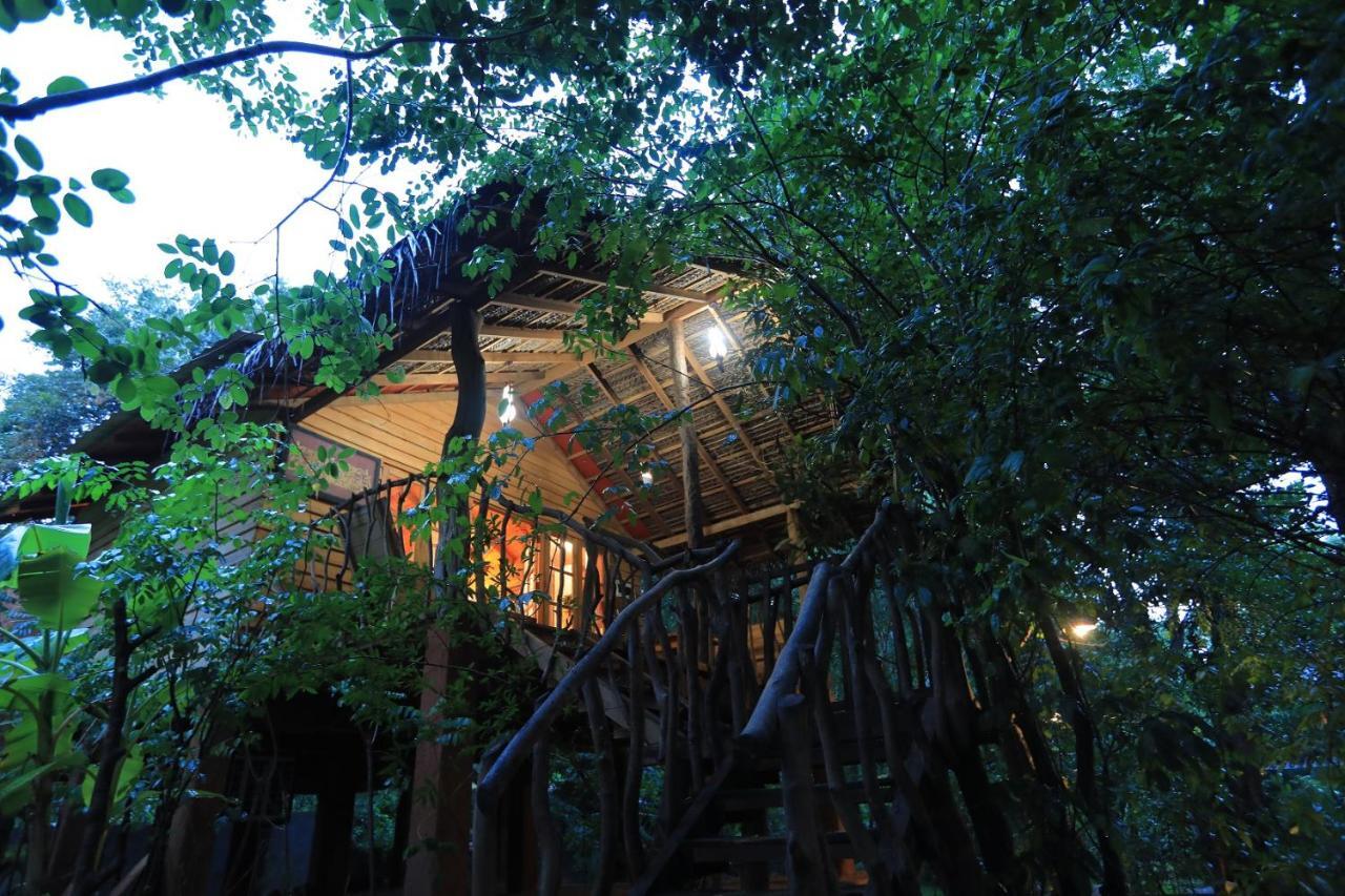 Habarana Tree House Mutu Village Eksteriør bilde